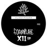 XII EP