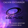 Music Is Your Destiny (Extended Mix)