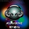 Hey Mr Dj