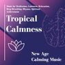 Tropical Calmness (Music For Meditation, Calmness, Relaxation, Deep Breathing, Dhyana, Spiritual Achievement) (New Age Calming Music)