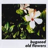 Old Flowers