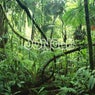 Jungle