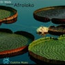 Presents Afroloko