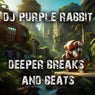 Deeper Breaks And Beats