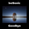 Goodbye