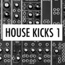 House Kicks 1