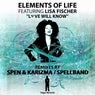 Love Will Know (DJ Spen & Karizma Remix)