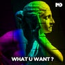 What U Want - The Remixes