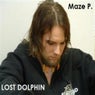 Lost Dolphin