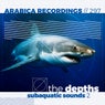 The Depths - Subaquatic Sounds 2