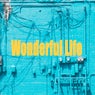 Wonderful Life