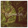 Earth Lounge Tunes