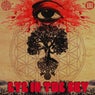 Eye in the Sky