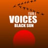 Voices From A  Black Sun