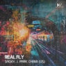 Real Fly
