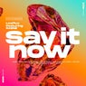 Say It Now (feat. RAENE) [Extended Mix]