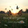 Field of Butterflies