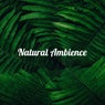 Natural Ambience