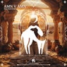 Amn v Amn