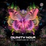 Divinity Nova, Vol. 1