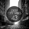 Deep City Vibes Vol. 43