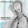 Ambient Music for the Night