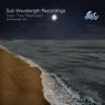 Sub Wavelength Recordings - Year Two Remixed