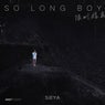 So Long Boy