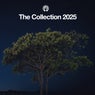 The Collection 2025