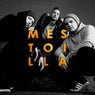 Mestoilla