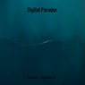 Digital Paradox