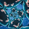 Shapes (Extended)