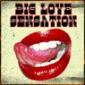 Big Love Sensation (Big Love House Tracks)