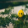 POSITIVE VIBES