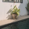 San Pancho