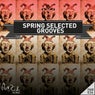 Spring Selected Grooves