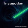 Inspection