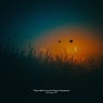 Zenscapes