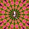 Gloria Electronica