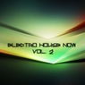 Electro House Now, Vol. 2