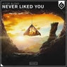 Never Liked You