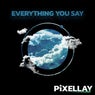 Everything You Say