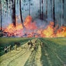 Music for Burnouts