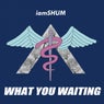 WHAT YOU WAITING (Extended Mix)