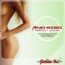 The Perfect Woman Incl. Commander Tom, M.Pravda Remixes