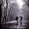 Sluggish_Rain