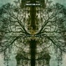 Conversation with a Tree