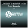 Collection of the Best Tracks From: Remundo, Pt. 2