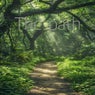 The Path