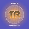 Babasonica EP